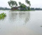 আকস্মিক বন্যায় প্লাবিত কুড়িগ্রামের নিম্নাঞ্চল, পানিবন্দী প্রায় ১০ হাজার মানুষ
