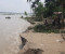 বন্যার পানি কমতেই কুড়িগ্রামে ভাঙনের থাবা, বিলীন বসতভিটা-ফসলি জমি
