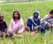দিনাজপুর সীমান্তে ৪ জনকে পুশইনের চেষ্টা, বিজিবির বাধায় প্রতিহত