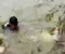 কুড়িগ্রামে পানিতে ডুবে বীর মুক্তিযোদ্ধার মৃত্যু
