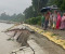 ৫২৭ কোটি টাকার পদ্মার স্থায়ী বাঁধে দেড় মাসেই ধ্বস, কাজের মান নিয়ে প্রশ্ন