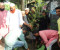 রাজবাড়ীতে স্বেচ্ছাসেবী সংগঠনের উদ্যোগে বৃক্ষরোপণ ও মাদক বিরোধী আলোচনা সভা