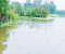 জলাবদ্ধতায় সহস্র একর জমি, বিপাকে কৃষকেরা, চায় কালভার্ট