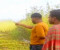 সালথায় হত্যা মামলার পর গ্রেপ্তার আতংকে গ্রাম পুরুষশূন্য, পাট কাটতে বাঁধা দেওয়ার অভিযোগ