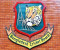 নারী দলের জন্য বিদেশি কোচ খুঁজছে বিসিবি