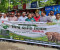 কাপ্তাইয়ে বিশ্ব হাতি দিবসের র‍্যালি ও আলোচনা সভা 