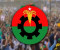 বিএনপির স্থায়ী কমিটির সদস্য হলেন রিজভী-আমানসহ চারজন