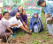 বজ্রপাতের ঝুঁকি কমাতে তালবীজ রোপণ করলেন রাজারহাট ইউএনও