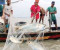 মধ্যরাতে শুরু হচ্ছে জাটকা শিকারে ৮ মাসের নিষেধাজ্ঞা