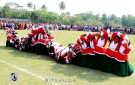 পিরোজপুরে স্বাধীনতা দিবস উদযাপন