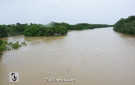 বাড়ছে গোমতীর পানি